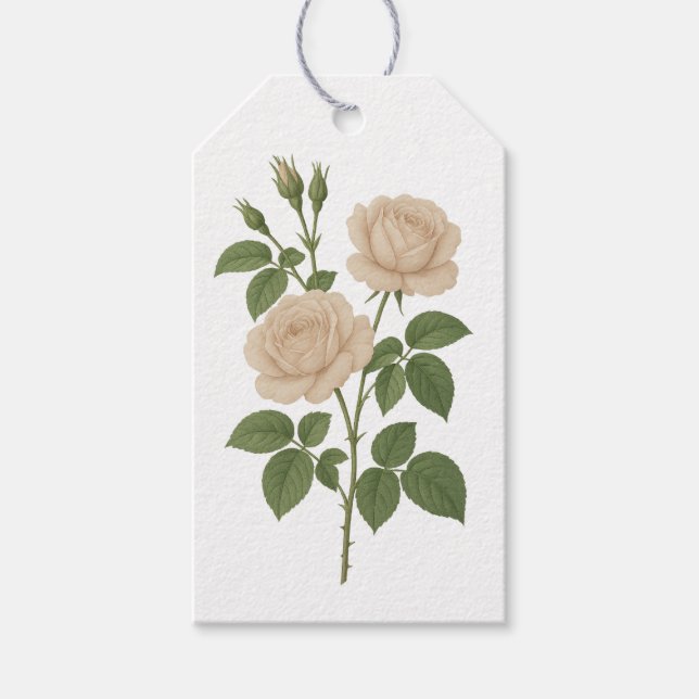 Vintage Garden Rose gift tag (Front)