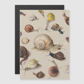 Vintage Garden Snails Scientific Illustration (Front/Back)