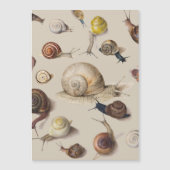 Vintage Garden Snails Scientific Illustration (Front)