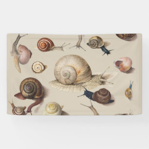 Vintage Garden Snails Scientific Illustration Banner