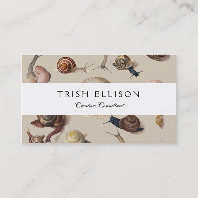 Vintage Garden Snails Scientific Illustration Business Card (Front)