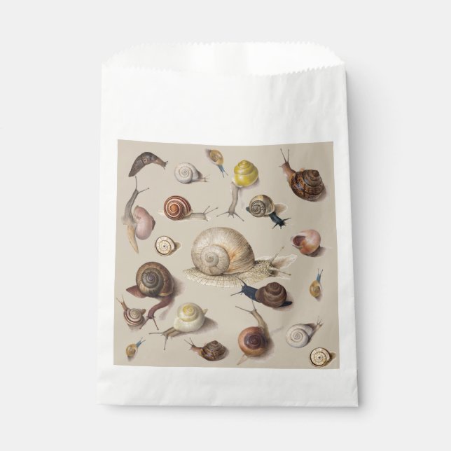 Vintage Garden Snails Scientific Illustration Favor Bag (Front)