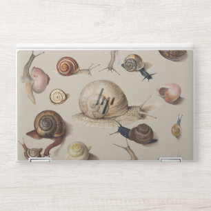 Vintage Garden Snails Scientific Illustration HP Laptop Skin