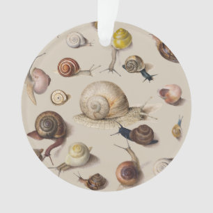 Vintage Garden Snails Scientific Illustration Ornament