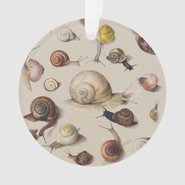 Vintage Garden Snails Scientific Illustration Ornament (Front)