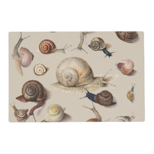 Vintage Garden Snails Scientific Illustration Placemat