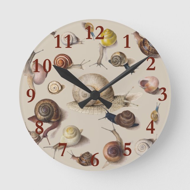 Vintage Garden Snails Scientific Illustration Round Clock (Front)