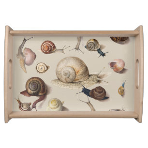 Vintage Garden Snails Scientific Illustration Serving Tray