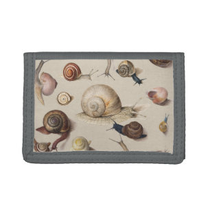 Vintage Garden Snails Scientific Illustration Tri-fold Wallet