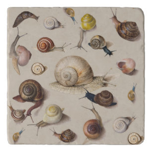 Vintage Garden Snails Scientific Illustration Trivet