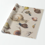 Vintage Garden Snails Scientific Illustration Wrapping Paper