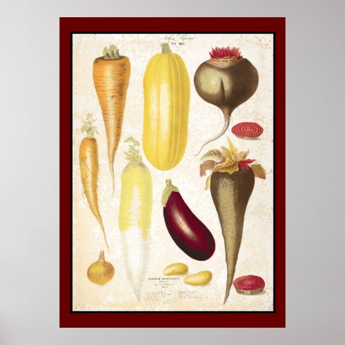 Vintage Garden Vegetables Kitchen Art Poster