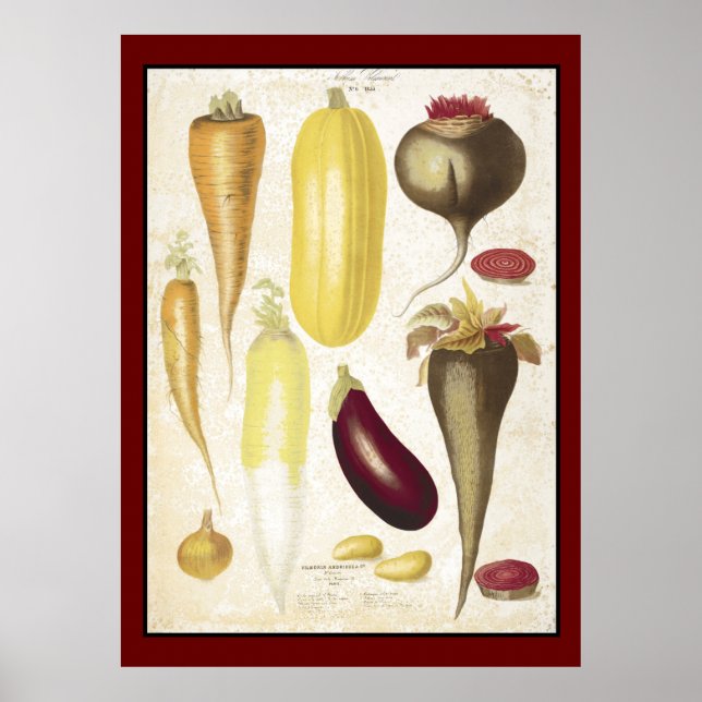 Vintage Garden Vegetables Kitchen Art Poster (Front)