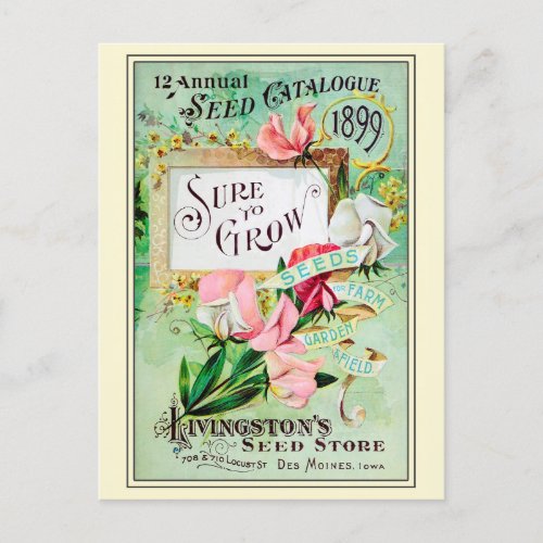 Vintage Gardening Flower Seeds Catalog Postcard