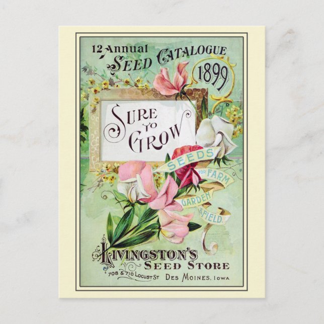 Vintage Gardening Flower Seeds Catalog Postcard (Front)