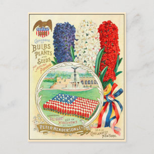 Vintage Gardening Flower Seeds Catalog Postcard