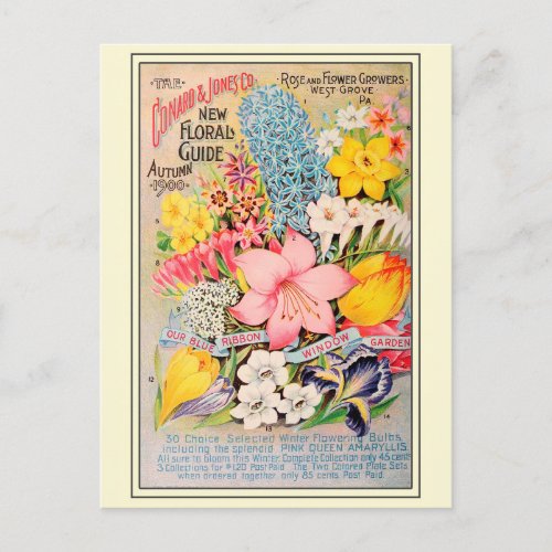 Vintage Gardening Flower Seeds Catalog Postcard