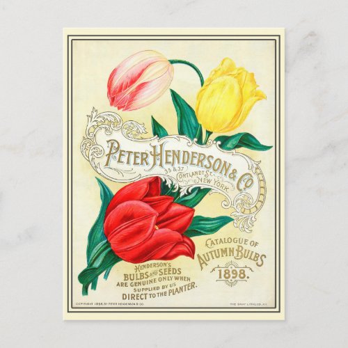 Vintage Gardening Flower Seeds Catalog Postcard