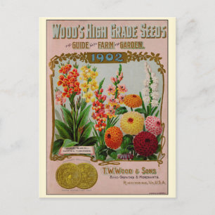 Vintage Gardening Flower Seeds Catalog Postcard