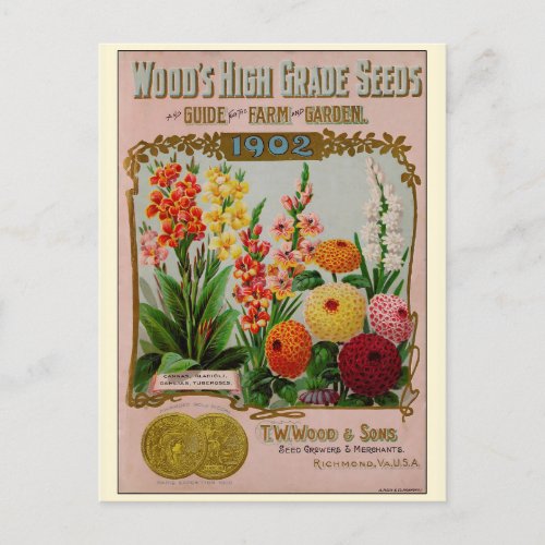 Vintage Gardening Flower Seeds Catalog Postcard