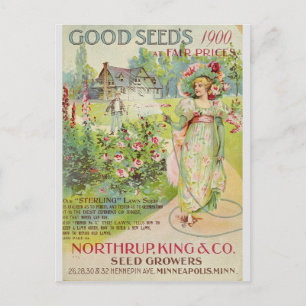 Vintage Gardening Flower Seeds Catalog Postcard