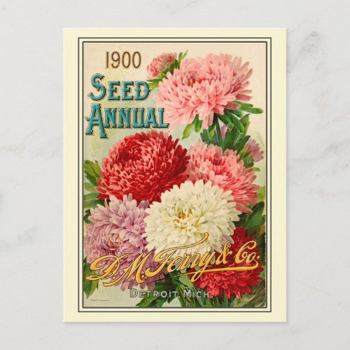 Vintage Gardening Flower Seeds Catalog Postcard