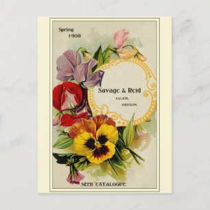 Vintage Gardening Flower Seeds Catalog Postcard