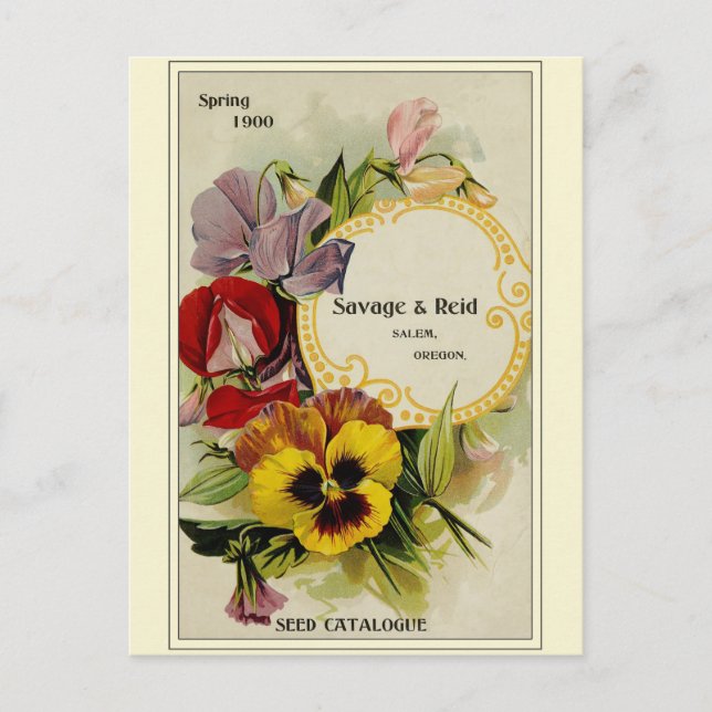 Vintage Gardening Flower Seeds Catalog Postcard (Front)
