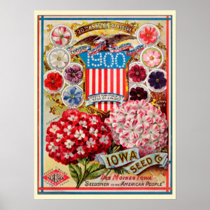 Vintage Gardening Flower Seeds Catalog Poster