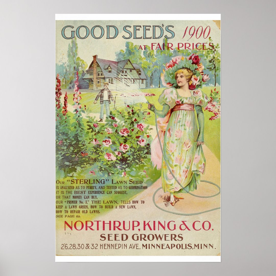 Vintage Gardening Flower Seeds Catalog Poster Zazzle