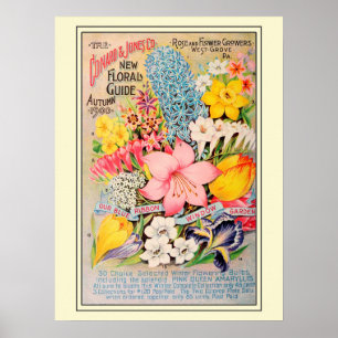 Vintage Gardening Flower Seeds Catalog Poster
