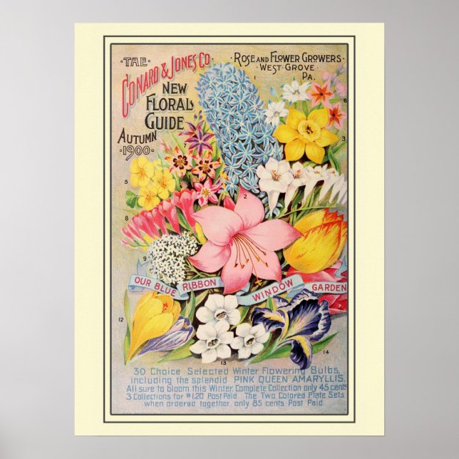 Vintage Gardening Flower Seeds Catalog Poster (Front)