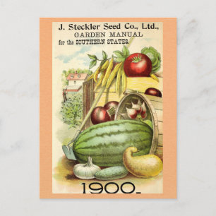 Vintage Gardening Fruit Vegetable Garden Manual Postcard