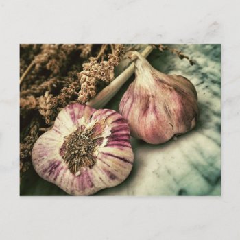Vintage Garlic Postcard by Wonderful12345 at Zazzle