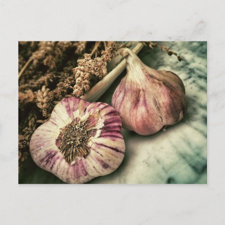 Vintage Garlic Postcard