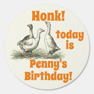 Vintage Geese Honk for Your Birthday Name Sign