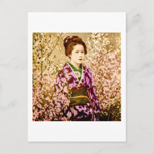 Vintage Geisha Posing in Cherry Blossoms Postcard