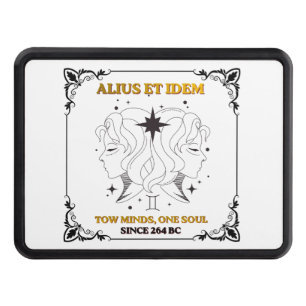 Vintage Gemini Zodiac tarot card poster Hitch Cover