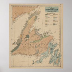 Vintage Geological Map of Newfoundland (1875) Poster