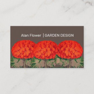 Vintage Geranium Trio  - bold floral 