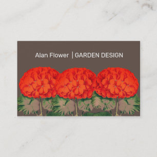 Vintage Geranium Trio  - bold floral  Business Card