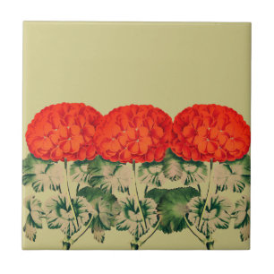 Vintage Geranium Trio  - bold floral    Ceramic Tile