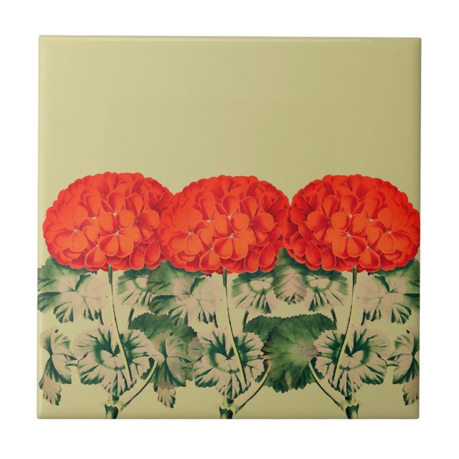 Vintage Geranium Trio  - bold floral    Ceramic Tile (Front)