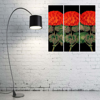 Vintage Geraniums  - bold floral - triptych