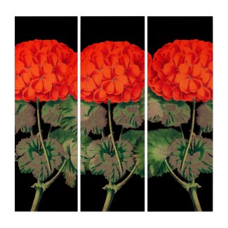 Vintage Geraniums  - bold floral - triptych