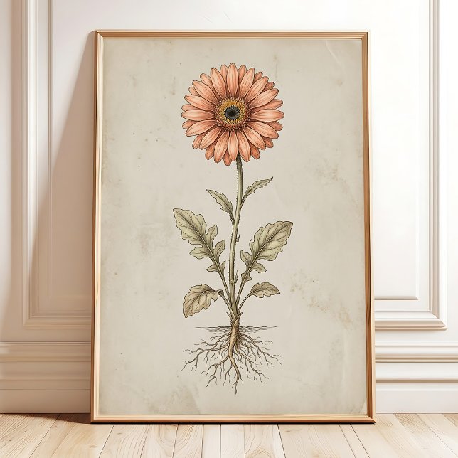 Vintage Gerbera Daisy Wall Art Print (Creator Uploaded)