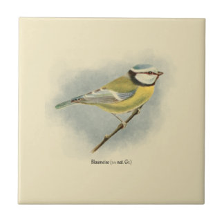 Vintage German Blue Tit Illustration Ceramic Tile