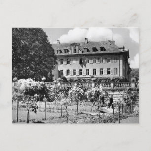 Vintage Germany Postcard