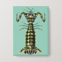 Vintage Giant Mantis Shrimp Marine Art Print