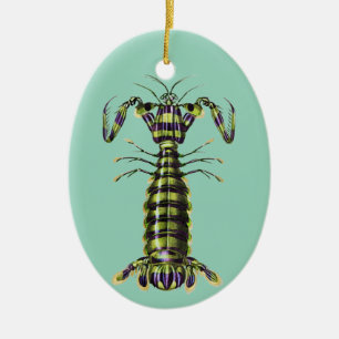 Vintage Giant Mantis Shrimp Marine Art Print Ceramic Ornament